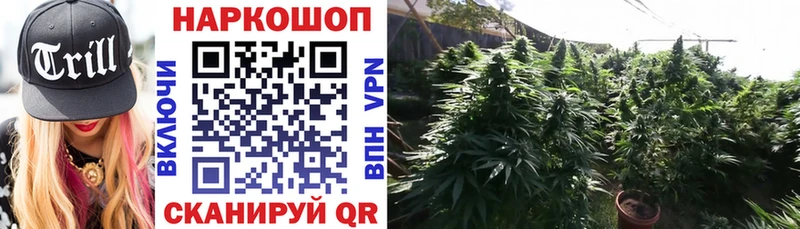 Меф Весьегонск