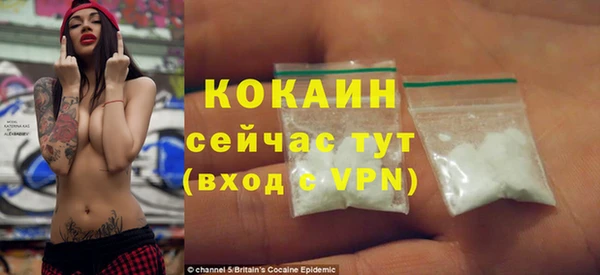 гашик Каменка