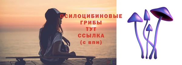 гашик Каменка