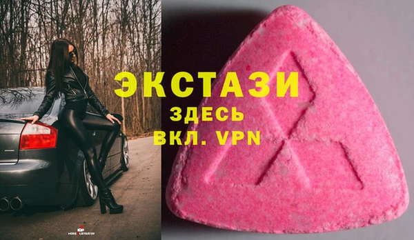 гашик Каменка