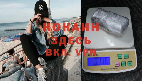 PSILOCYBIN Киренск
