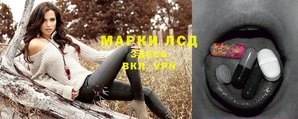 гашик Каменка