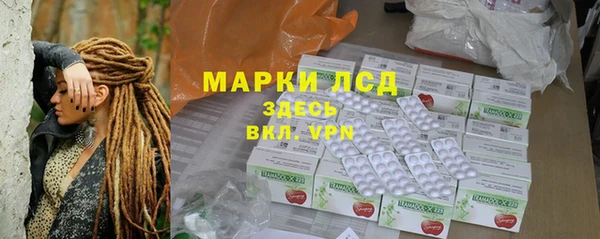 гашик Каменка