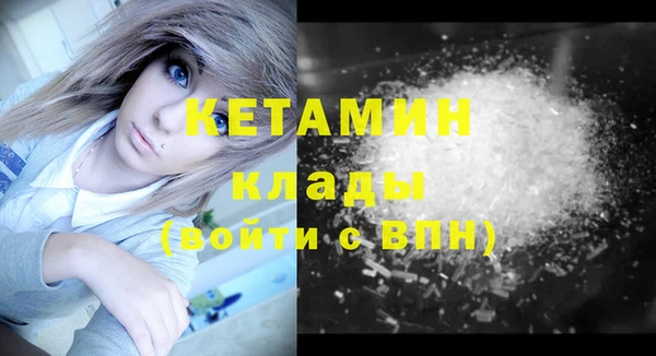 гашик Каменка