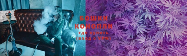 гашик Каменка
