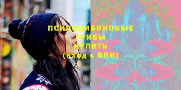 гашик Каменка