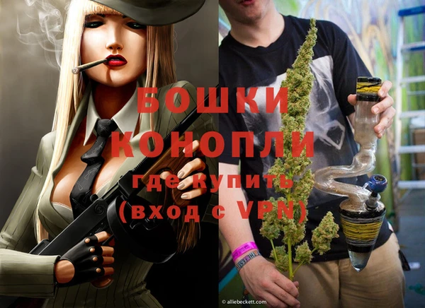 гашик Каменка