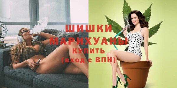PSILOCYBIN Киренск
